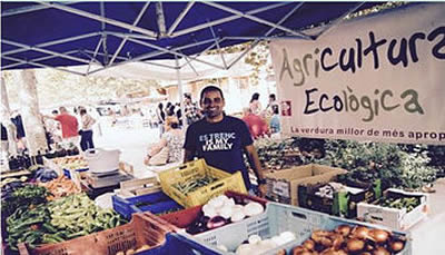 Mercat Ecològic de Palma